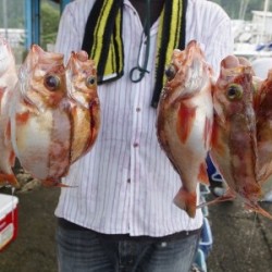 ハピネスⅡ 釣果