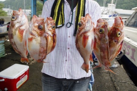 ハピネスⅡ 釣果