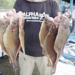 ハピネスⅡ 釣果