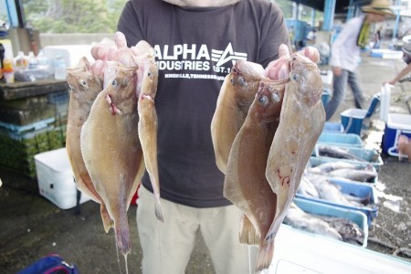 ハピネスⅡ 釣果