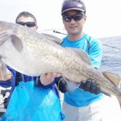 ハピネスⅡ 釣果