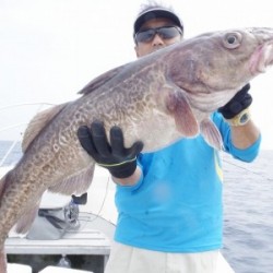 ハピネスⅡ 釣果