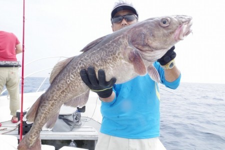 ハピネスⅡ 釣果