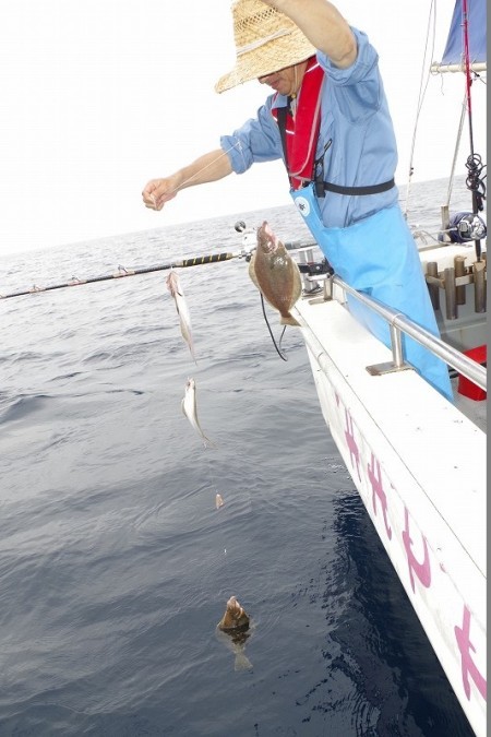 ハピネスⅡ 釣果