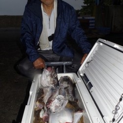 ハピネスⅡ 釣果