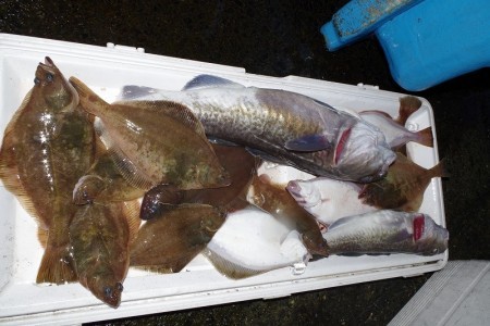 ハピネスⅡ 釣果