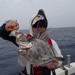 ハピネスⅡ 釣果