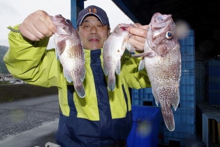 ハピネスⅡ 釣果