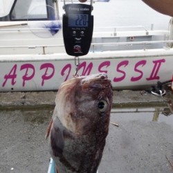 ハピネスⅡ 釣果