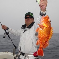 ハピネスⅡ 釣果