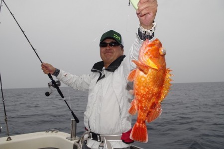 ハピネスⅡ 釣果