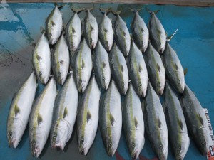 アジアマリンサービス 釣果