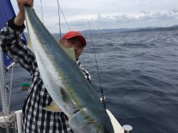 オーシャンキッズ 釣果