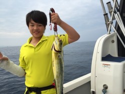 オーシャンキッズ 釣果