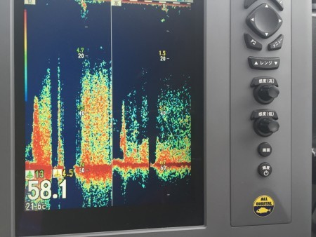 オーシャンキッズ 釣果