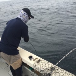 オーシャンキッズ 釣果