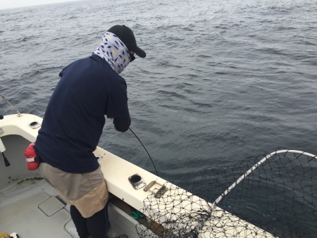 オーシャンキッズ 釣果