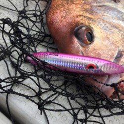 オーシャンキッズ 釣果