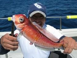 Aquanaut（アクアノート） 釣果