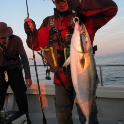 Aquanaut（アクアノート） 釣果