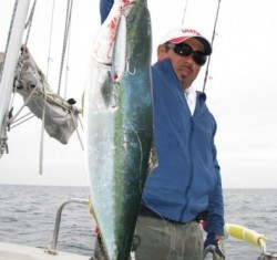 Aquanaut（アクアノート） 釣果