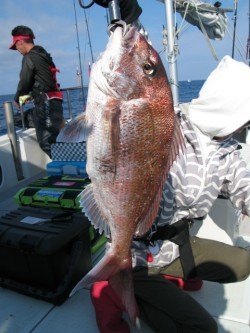 Aquanaut(アクアノート) 釣果