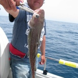 Aquanaut（アクアノート） 釣果