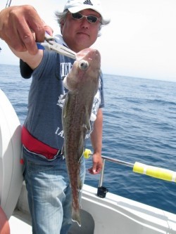 Aquanaut（アクアノート） 釣果