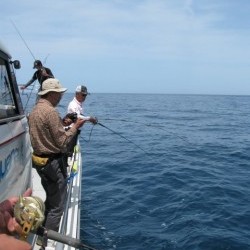 Aquanaut（アクアノート） 釣果