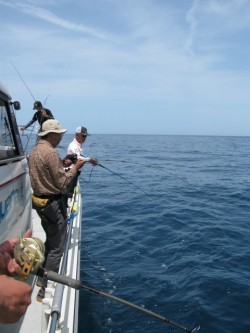 Aquanaut（アクアノート） 釣果