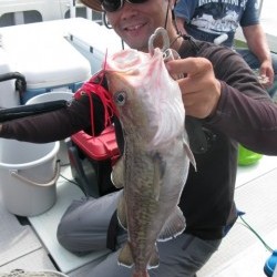 Aquanaut（アクアノート） 釣果