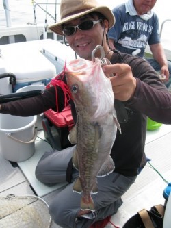 Aquanaut（アクアノート） 釣果