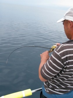 Aquanaut（アクアノート） 釣果