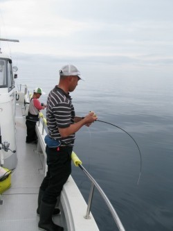 Aquanaut（アクアノート） 釣果