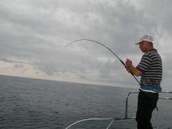 Aquanaut（アクアノート） 釣果