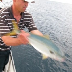 Aquanaut（アクアノート） 釣果