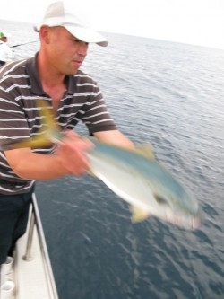 Aquanaut（アクアノート） 釣果