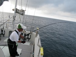 Aquanaut（アクアノート） 釣果