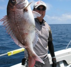 Aquanaut（アクアノート） 釣果