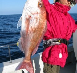 Aquanaut（アクアノート） 釣果