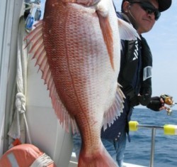 Aquanaut（アクアノート） 釣果