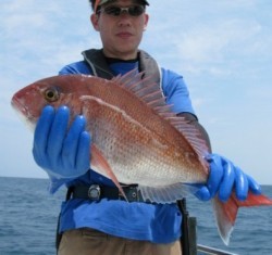 Aquanaut（アクアノート） 釣果