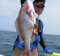 Aquanaut（アクアノート） 釣果