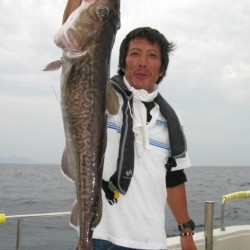 Aquanaut（アクアノート） 釣果