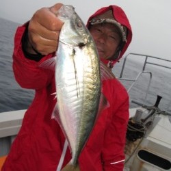 Aquanaut（アクアノート） 釣果