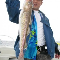 Aquanaut（アクアノート） 釣果