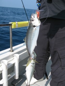 Aquanaut(アクアノート) 釣果