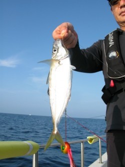 Aquanaut(アクアノート) 釣果