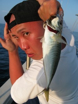 Aquanaut(アクアノート) 釣果