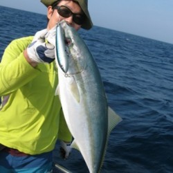 Aquanaut（アクアノート） 釣果